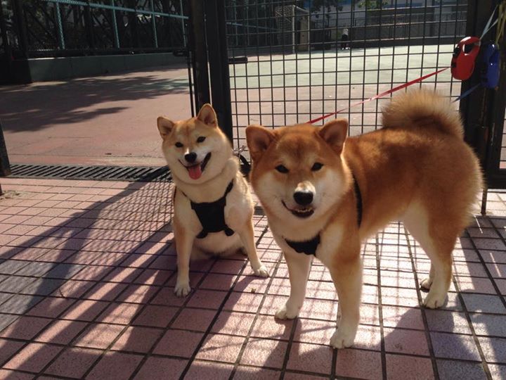 FB体育官网平台-太阳队频频刷新纪录，豪取十连胜，太阳队频频刷新纪录,豪取十连胜是哪一集