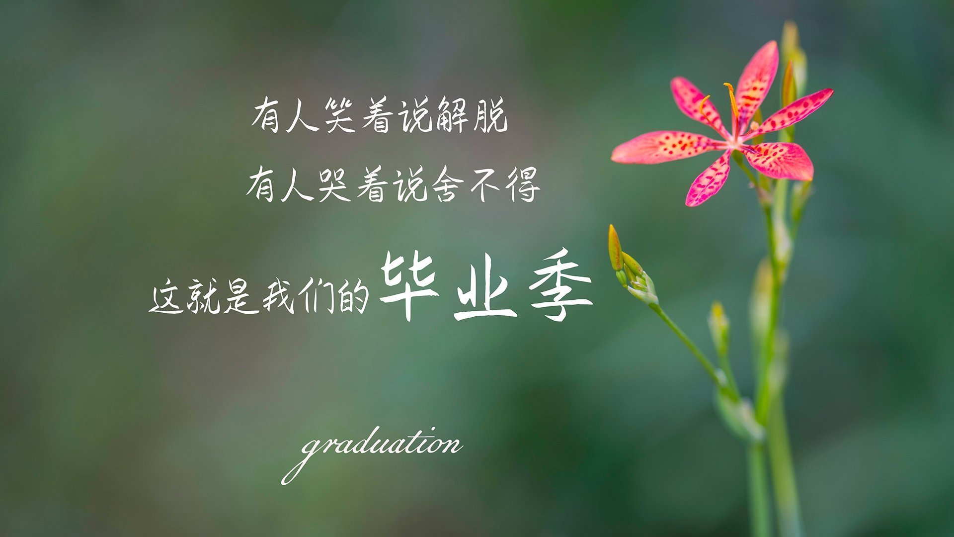 FB体育在线-克罗地亚队在巴黎奥运会手球比赛中以27_32败给西班牙队，克罗地亚国家队赞助