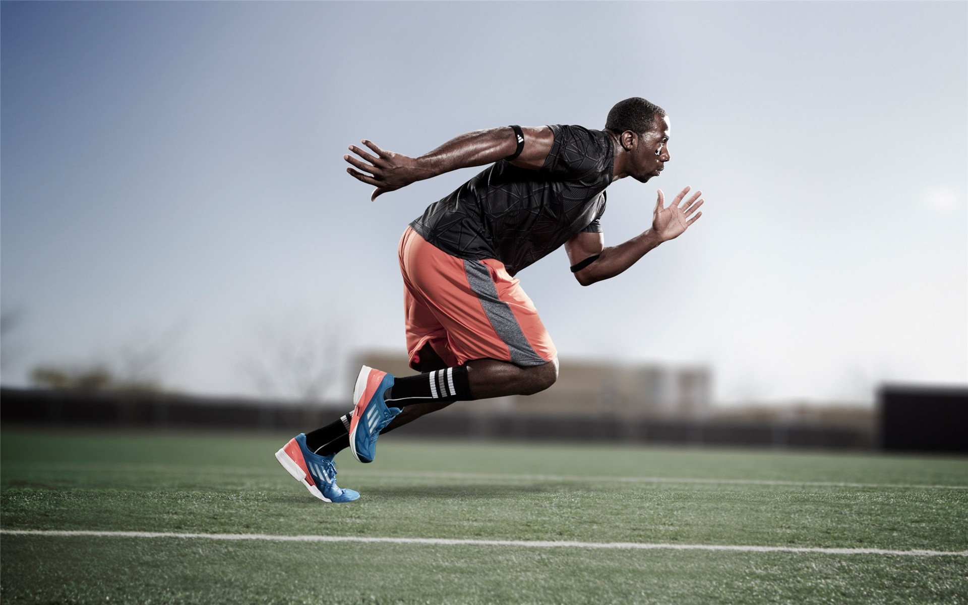 fb体育官网app-_未来体育场景：虚拟与现实完美融合_，未来体育馆概念设计