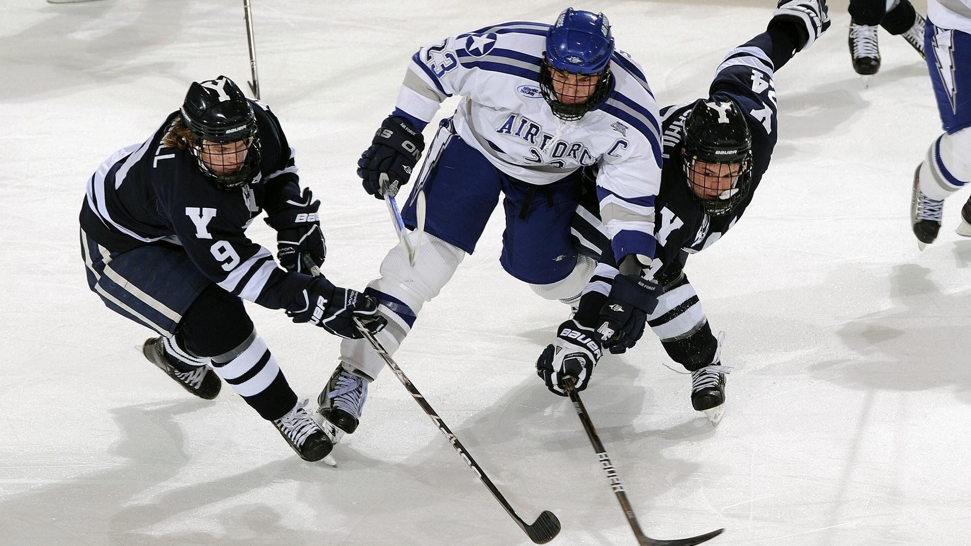 篮网球馆设“静音观赛区”，为高敏感观众提供安静环境，篮网球馆能容纳多少人